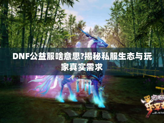 DNF公益服啥意思?揭秘私服生态与玩家真实需求