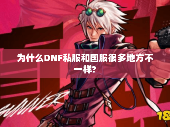 为什么DNF私服和国服很多地方不一样?