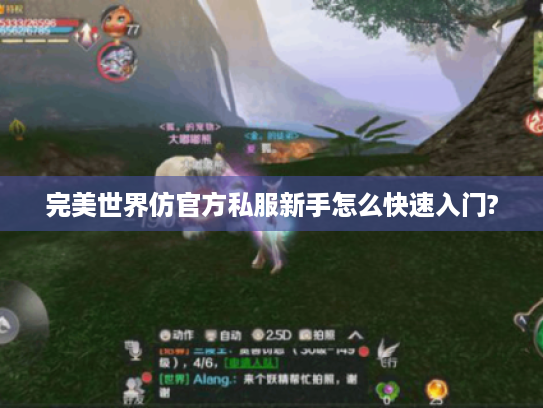 完美世界仿官方私服新手怎么快速入门?