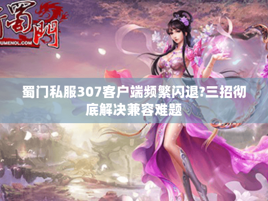 蜀门私服307客户端频繁闪退?三招彻底解决兼容难题