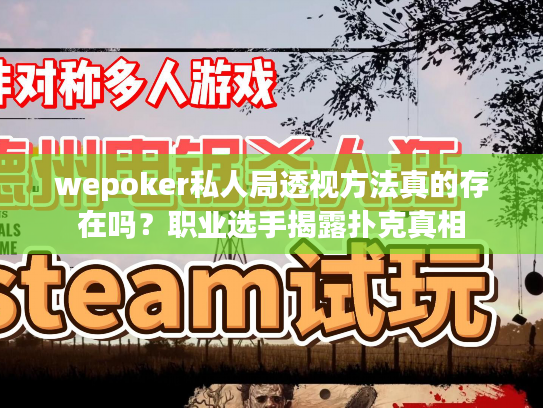 wepoker私人局透视方法真的存在吗？职业选手揭露扑克真相