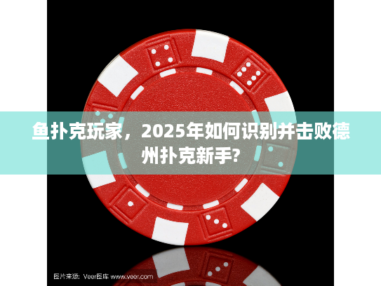 鱼扑克玩家，2025年如何识别并击败德州扑克新手?