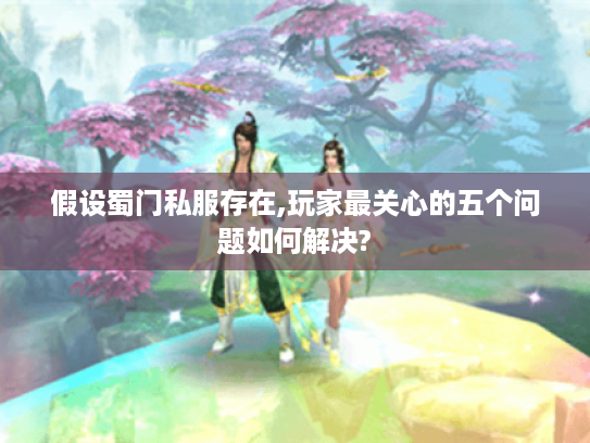 假设蜀门私服存在,玩家最关心的五个问题如何解决?