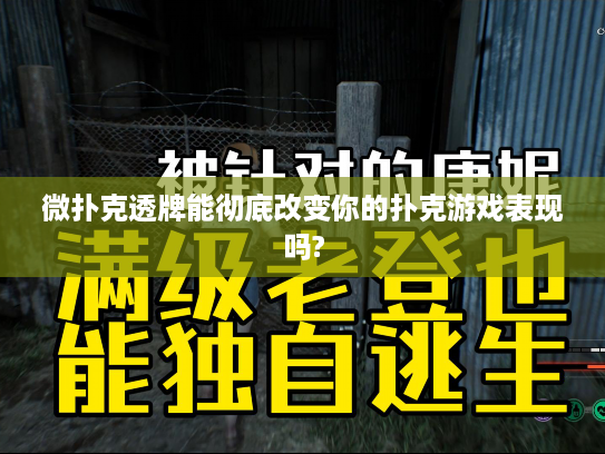 微扑克透牌能彻底改变你的扑克游戏表现吗?