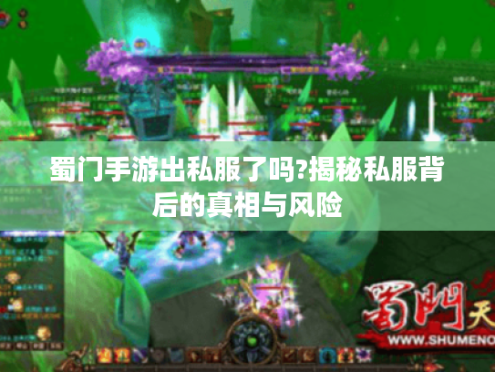 蜀门手游出私服了吗?揭秘私服背后的真相与风险