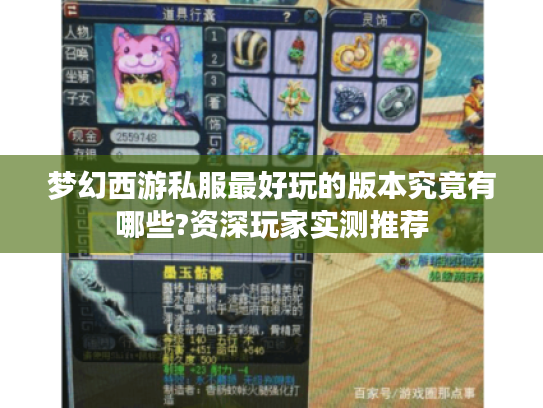 梦幻西游私服最好玩的版本究竟有哪些?资深玩家实测推荐