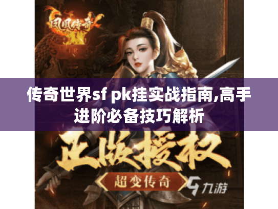 传奇世界sf pk挂实战指南,高手进阶必备技巧解析