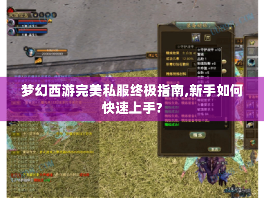 梦幻西游完美私服终极指南,新手如何快速上手?