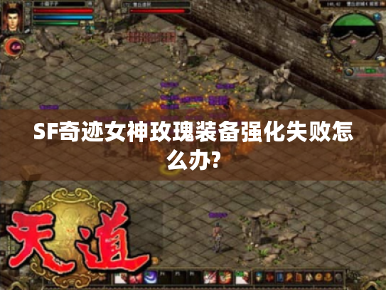SF奇迹女神玫瑰装备强化失败怎么办?