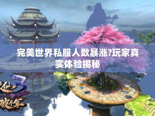 完美世界私服人数暴涨?玩家真实体验揭秘