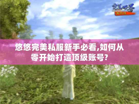 悠悠完美私服新手必看,如何从零开始打造顶级账号?
