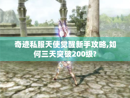 奇迹私服天使觉醒新手攻略,如何三天突破200级?