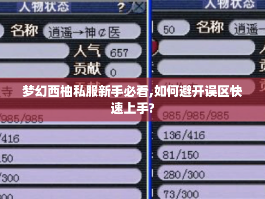 梦幻西柚私服新手必看,如何避开误区快速上手?
