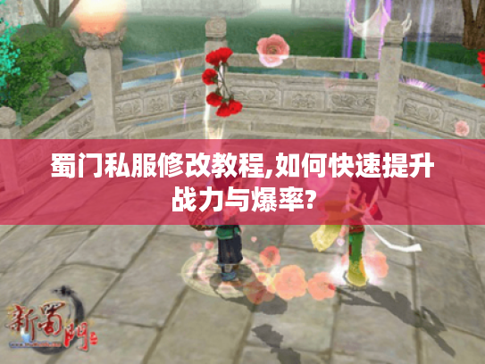 蜀门私服修改教程,如何快速提升战力与爆率?