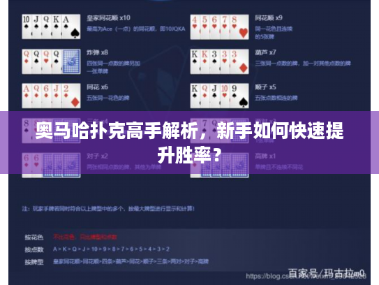 奥马哈扑克高手解析，新手如何快速提升胜率？