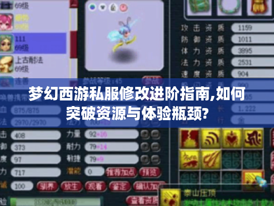 梦幻西游私服修改进阶指南,如何突破资源与体验瓶颈?