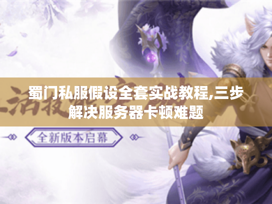蜀门私服假设全套实战教程,三步解决服务器卡顿难题