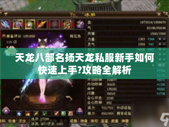 天龙八部名扬天龙私服新手如何快速上手?攻略全解析