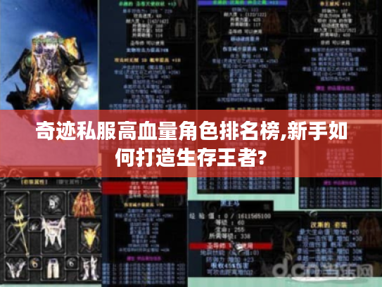 奇迹私服高血量角色排名榜,新手如何打造生存王者?