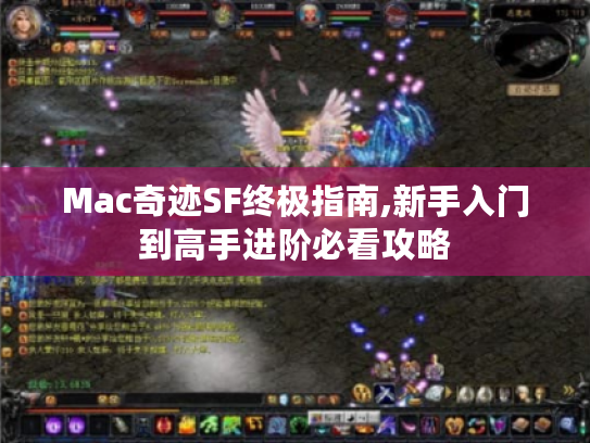 Mac奇迹SF终极指南,新手入门到高手进阶必看攻略