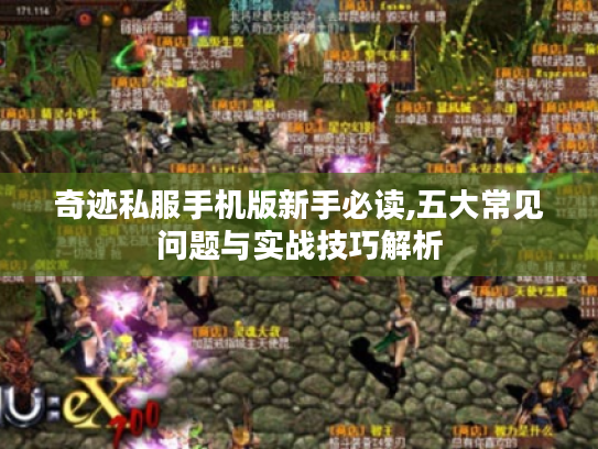 奇迹私服手机版新手必读,五大常见问题与实战技巧解析