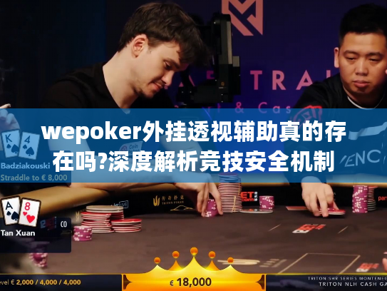 wepoker外挂透视辅助真的存在吗?深度解析竞技安全机制