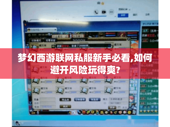 梦幻西游联网私服新手必看,如何避开风险玩得爽?
