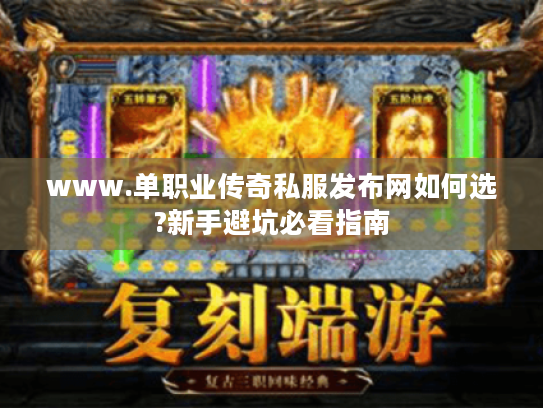 www.单职业传奇私服发布网如何选?新手避坑必看指南