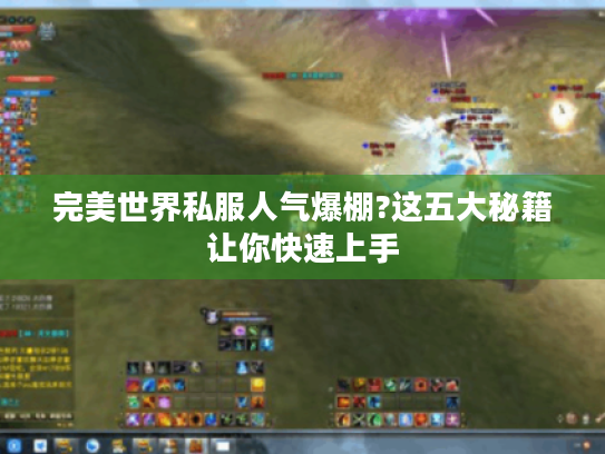 完美世界私服人气爆棚?这五大秘籍让你快速上手