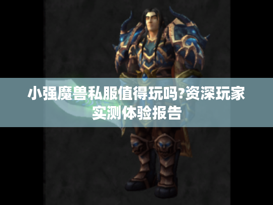 小强魔兽私服值得玩吗?资深玩家实测体验报告