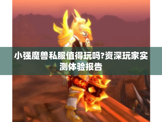 小强魔兽私服值得玩吗?资深玩家实测体验报告