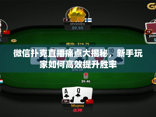 微信扑克直播痛点大揭秘，新手玩家如何高效提升胜率