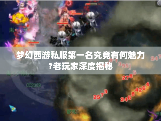 梦幻西游私服第一名究竟有何魅力?老玩家深度揭秘
