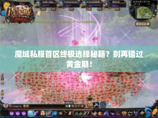 魔域私服首区终极选择秘籍？别再错过黄金期！