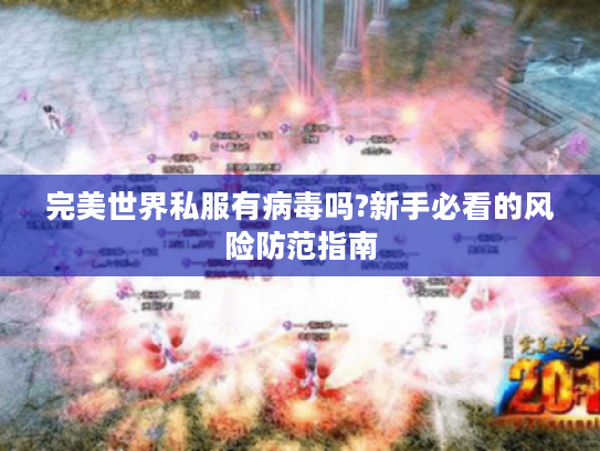 完美世界私服有病毒吗?新手必看的风险防范指南