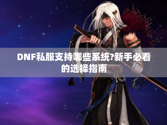 DNF私服支持哪些系统?新手必看的选择指南