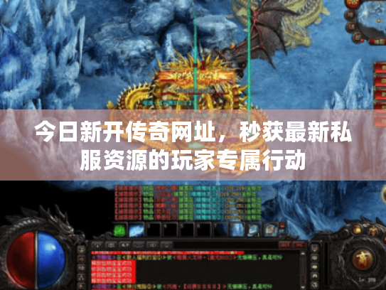 今日新开传奇网址，秒获最新私服资源的玩家专属行动
