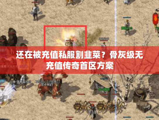 还在被充值私服割韭菜？骨灰级无充值传奇首区方案