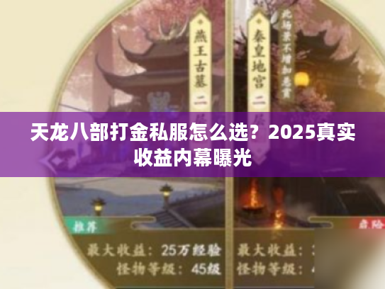 天龙八部打金私服怎么选？2025真实收益内幕曝光
