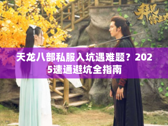 天龙八部私服入坑遇难题？2025速通避坑全指南