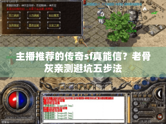 主播推荐的传奇sf真能信？老骨灰亲测避坑五步法