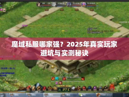 魔域私服哪家强？2025年真实玩家避坑与实测秘诀