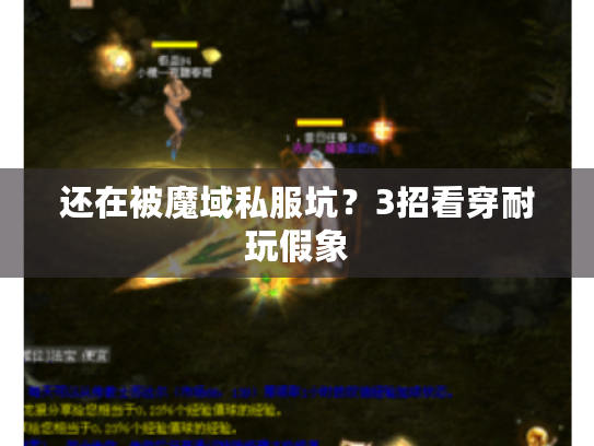 还在被魔域私服坑？3招看穿耐玩假象