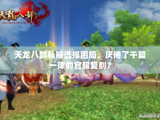 天龙八部私服选择困局，厌倦了千篇一律的官服复刻？