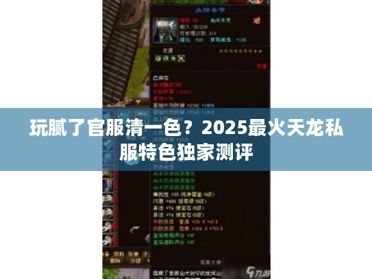 玩腻了官服清一色？2025最火天龙私服特色独家测评