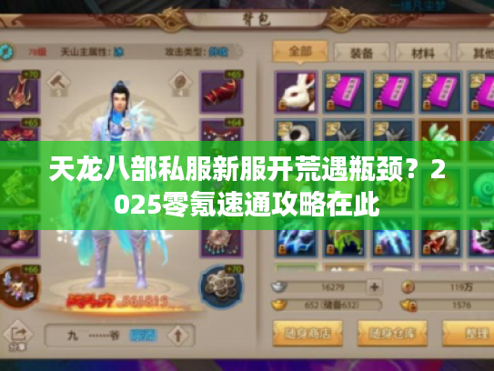 天龙八部私服新服开荒遇瓶颈？2025零氪速通攻略在此
