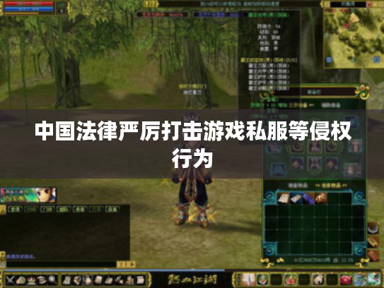 中国法律严厉打击游戏私服等侵权行为