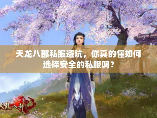 天龙八部私服避坑，你真的懂如何选择安全的私服吗？