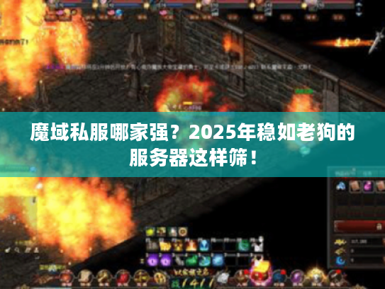 魔域私服哪家强？2025年稳如老狗的服务器这样筛！