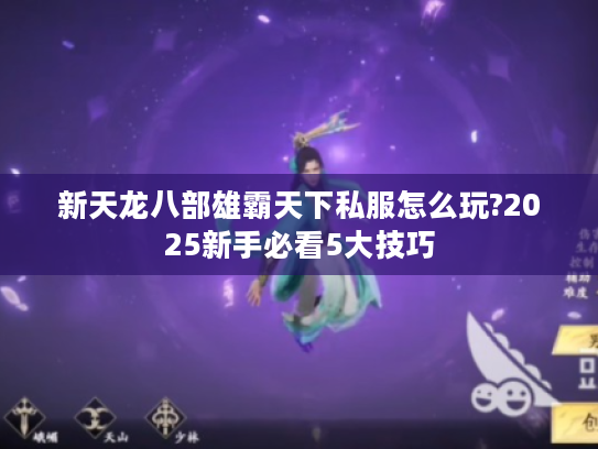 新天龙八部雄霸天下私服怎么玩?2025新手必看5大技巧